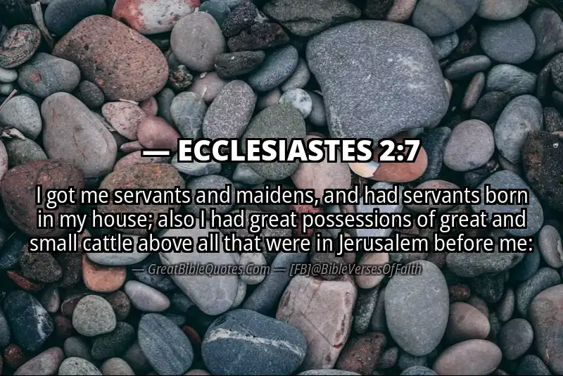 ECCLESIASTES 2:7 Verse