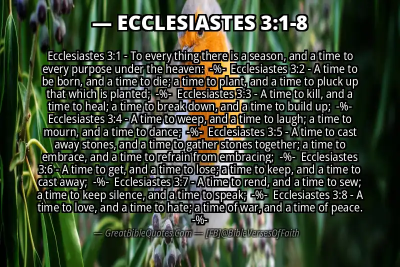 Image for ECCLESIASTES 3:1-8 Bible verse