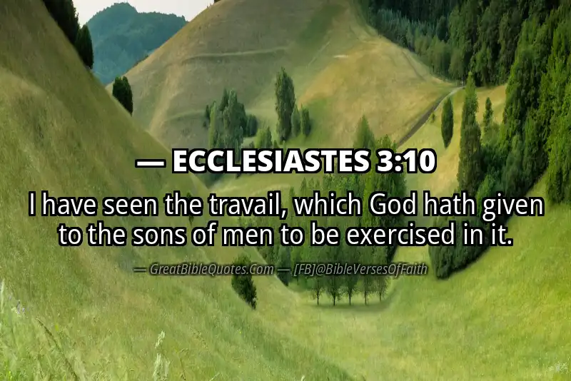 ECCLESIASTES 3:10 Verse