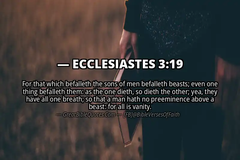 ECCLESIASTES 3:19 Verse