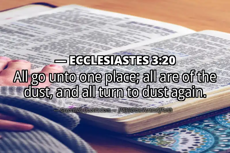 ECCLESIASTES 3:20 Verse