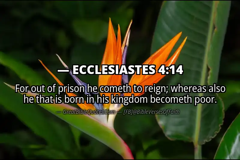 ECCLESIASTES 4:14 Verse