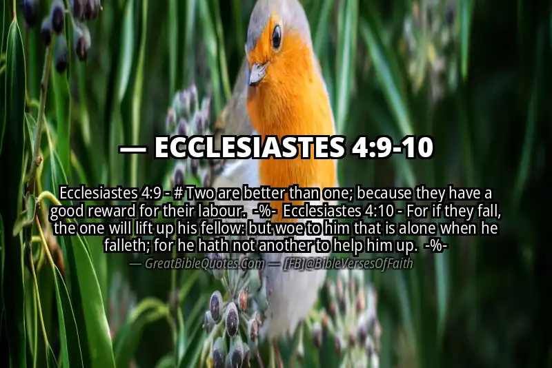 Image for ECCLESIASTES 4:9-10 Bible verse