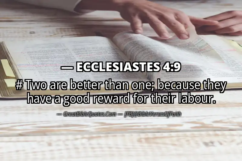 ECCLESIASTES 4:9 Verse
