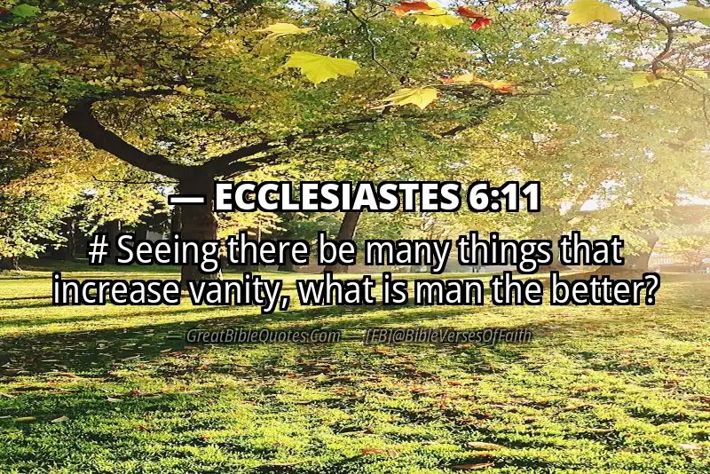 ECCLESIASTES 6:11 Verse