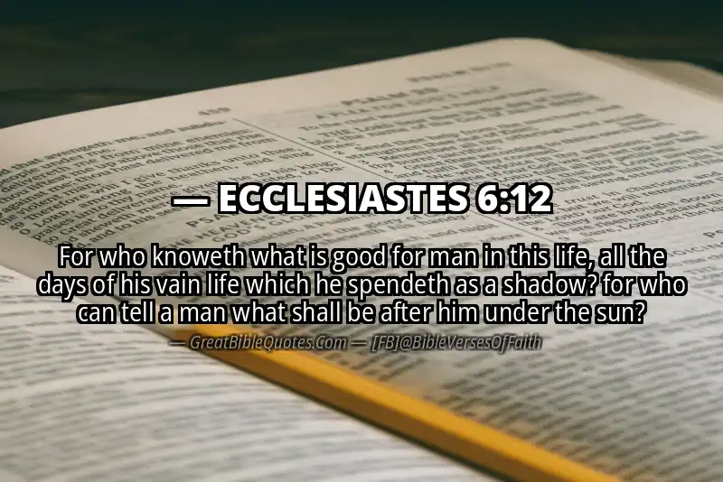 ECCLESIASTES 6:12 Verse