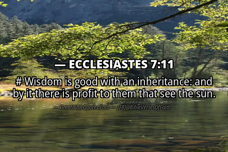 ECCLESIASTES 7:11 Verse
