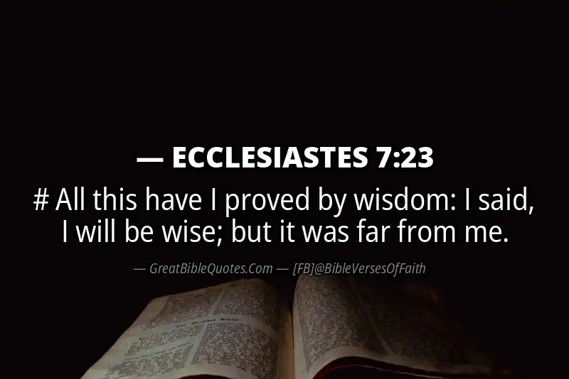 ECCLESIASTES 7:23 Verse