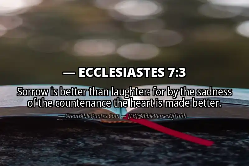 ECCLESIASTES 7:3 Verse Image