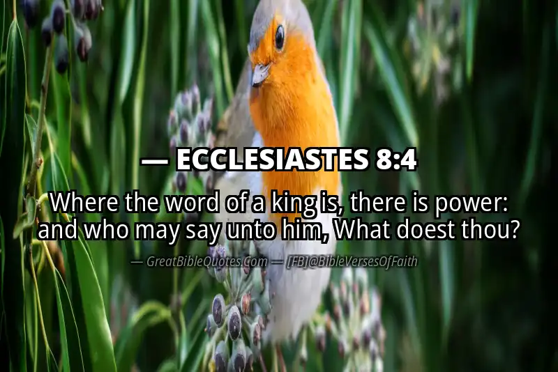 ECCLESIASTES 8:4 Verse