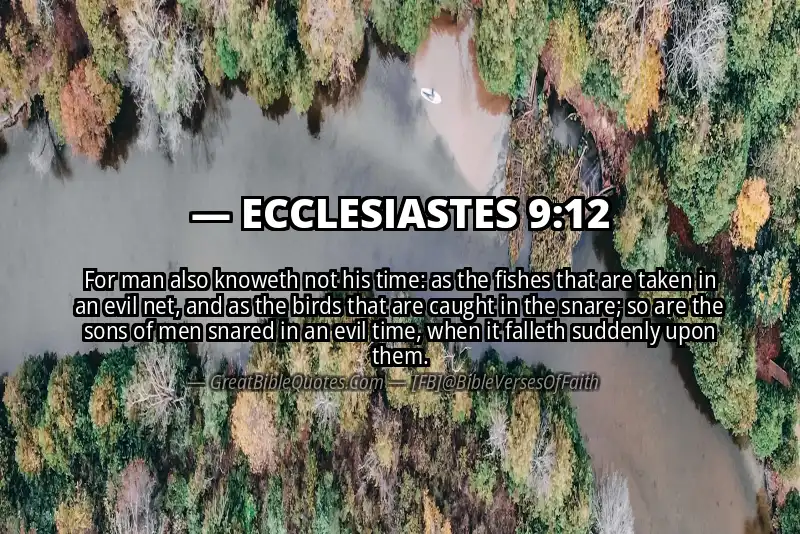 ECCLESIASTES 9:12 Verse