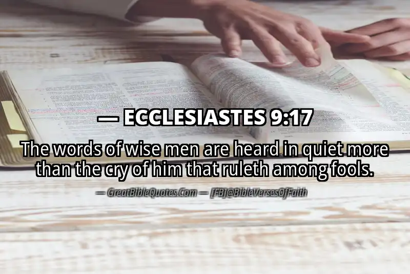 ECCLESIASTES 9:17 Verse Image