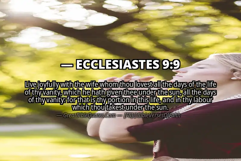 ECCLESIASTES 9:9 Verse