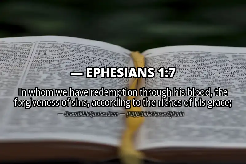 Bible verse: EPHESIANS 1:7 Image