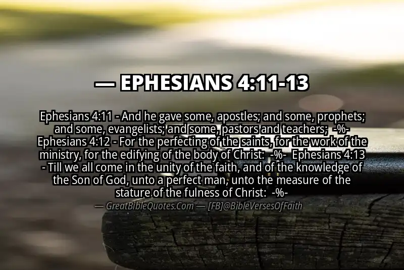 Image for EPHESIANS 4:11-13 Bible verse