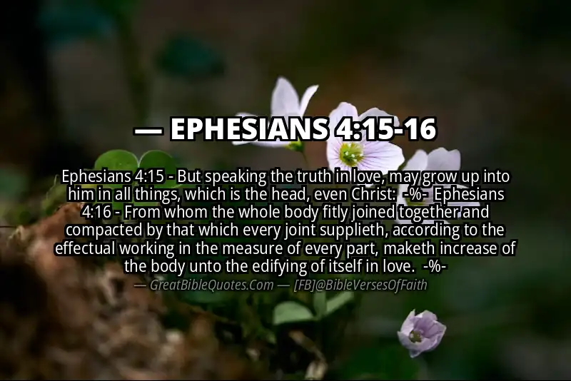 Image for EPHESIANS 4:15-16 Bible verse