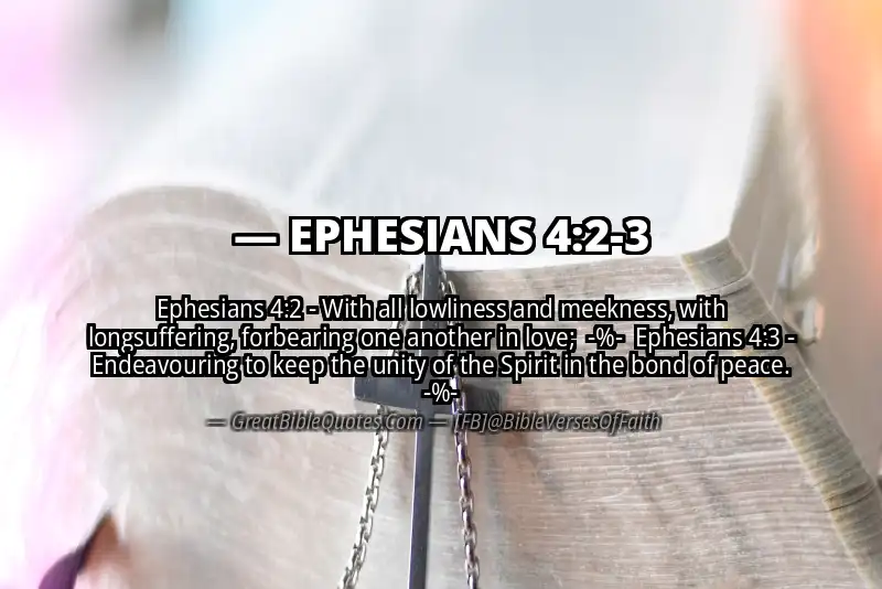 Image for EPHESIANS 4:2-3 Bible verse