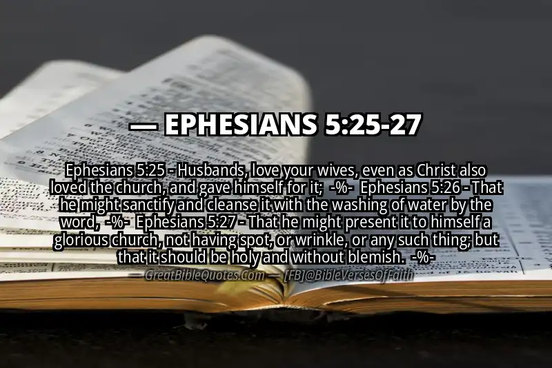 Image for EPHESIANS 5:25-27 Bible verse
