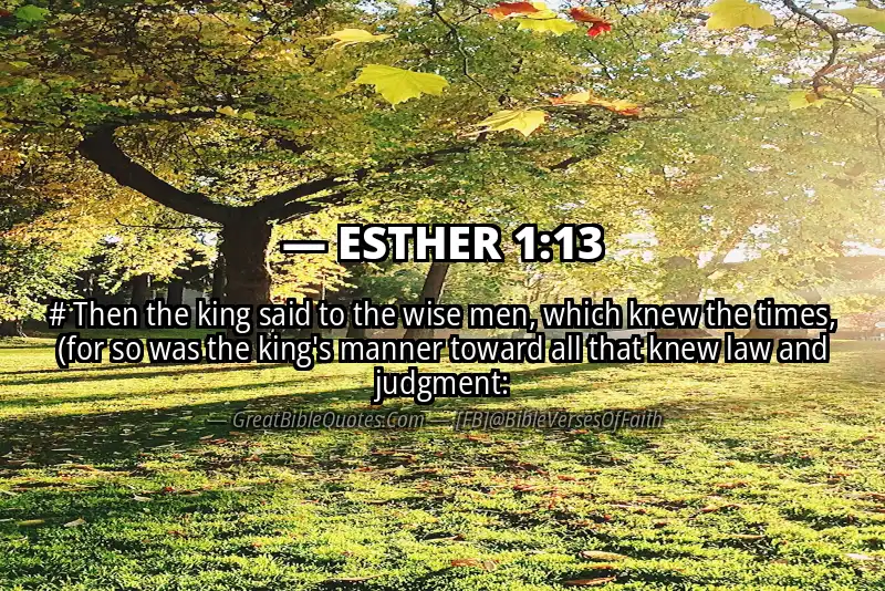 ESTHER 1:13 Verse