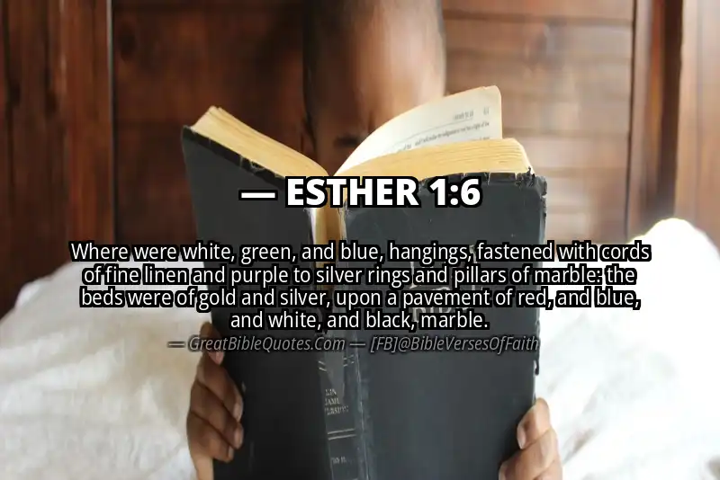 ESTHER 1:6 Verse