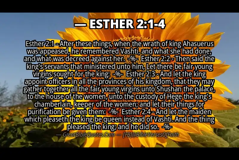 Image for ESTHER 2:1-4 Bible verse