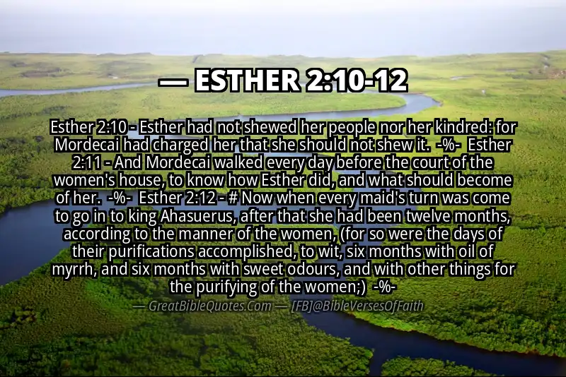Image for ESTHER 2:10-12 Bible verse