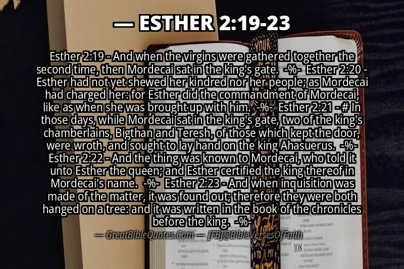 Image for ESTHER 2:19-23 Bible verse