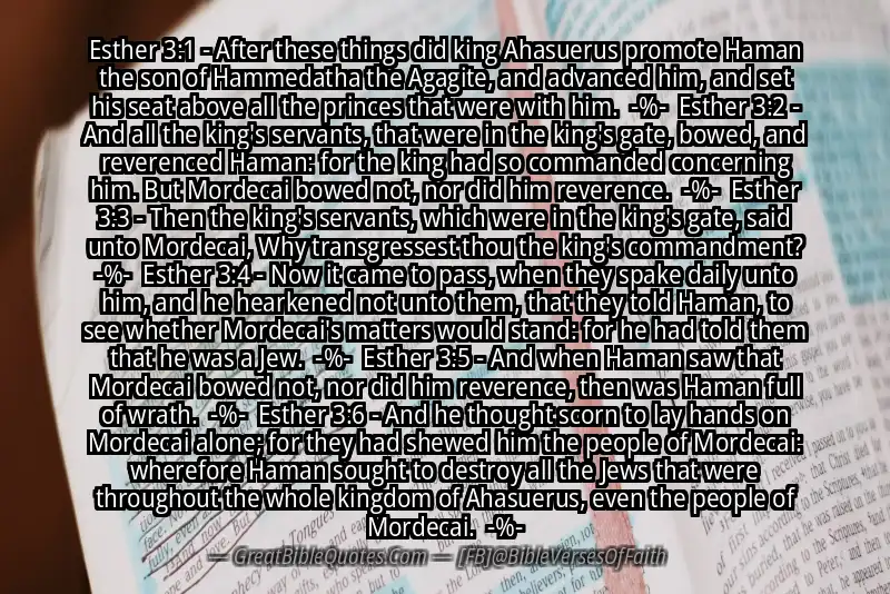 Image for ESTHER 3:1-6 Bible verse