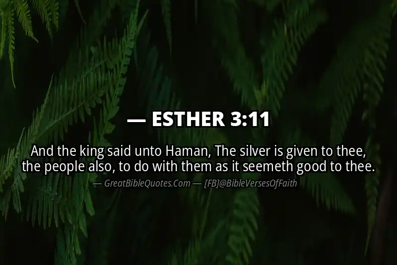 ESTHER 3:11 Verse