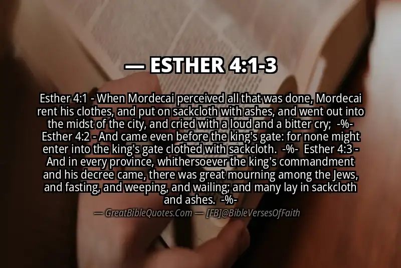 Image for ESTHER 4:1-3 Bible verse