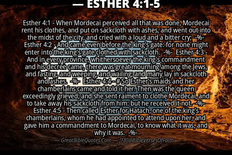 Image for ESTHER 4:1-5 Bible verse