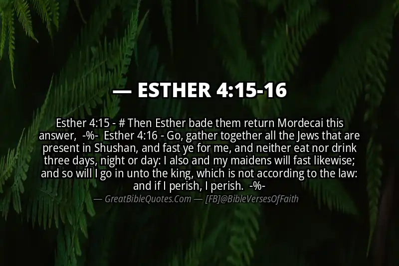 Image for ESTHER 4:15-16 Bible verse
