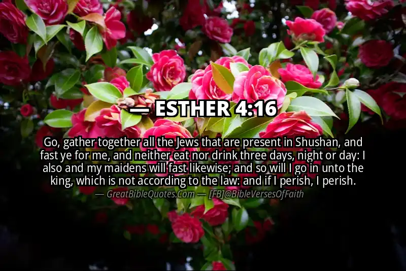 ESTHER 4:16 Verse