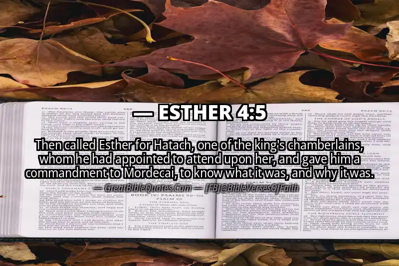 ESTHER 4:5 Verse Image