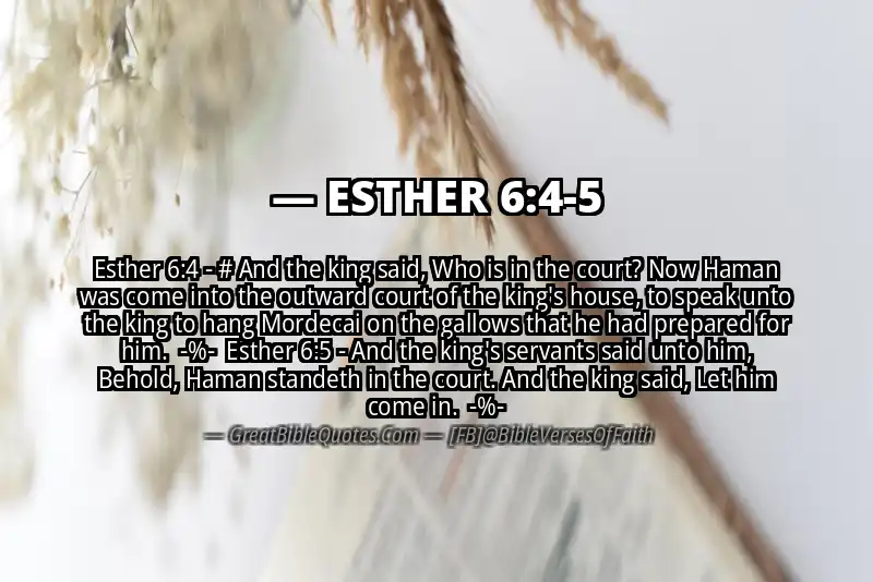 Image for ESTHER 6:4-5 Bible verse