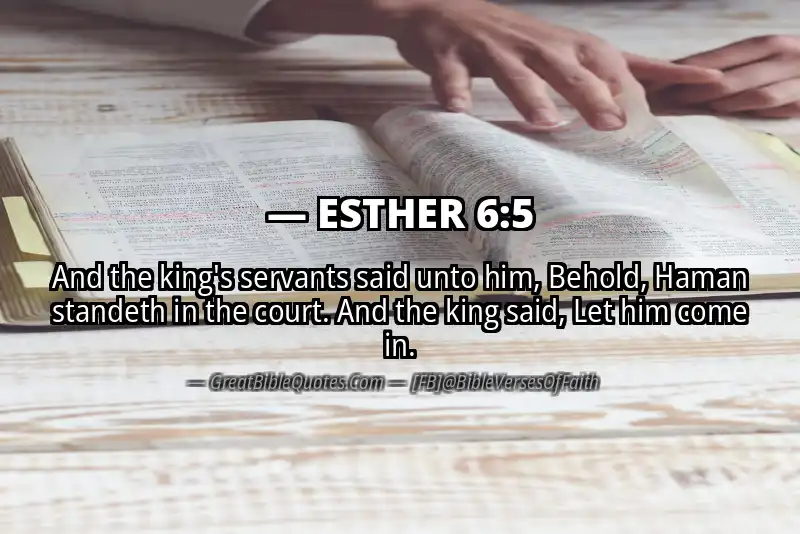 ESTHER 6:5 Verse