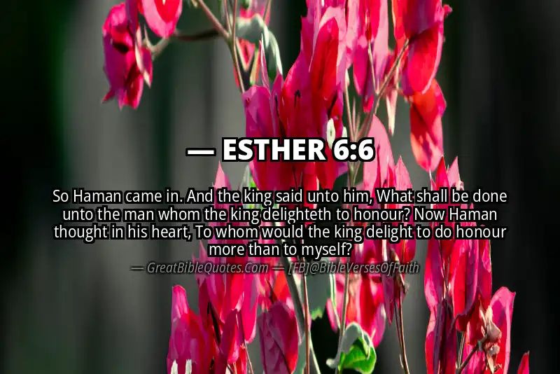 ESTHER 6:6 Verse