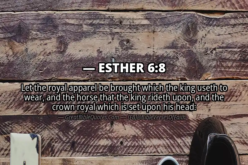 ESTHER 6:8 Verse