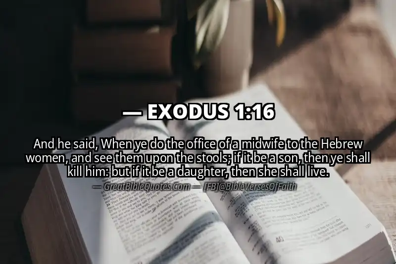 EXODUS 1:16 Verse