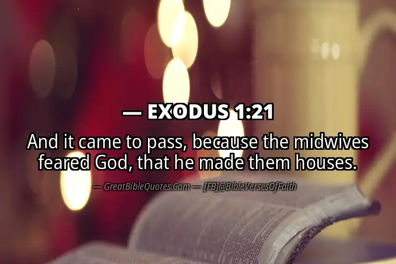 EXODUS 1:21 Verse