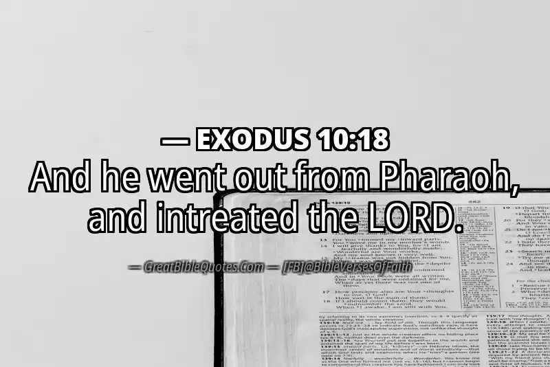 EXODUS 10:18 Verse