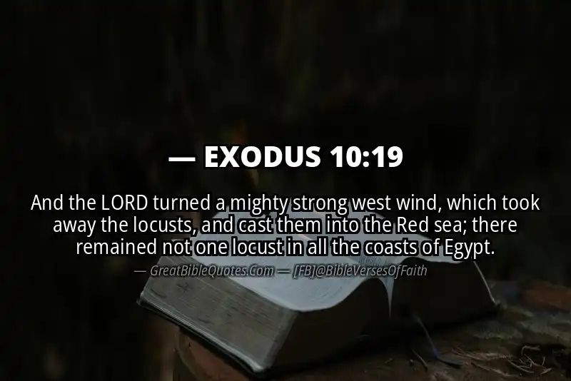 EXODUS 10:19 Verse