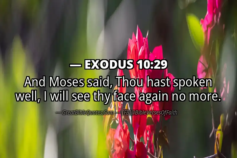 EXODUS 10:29 Verse