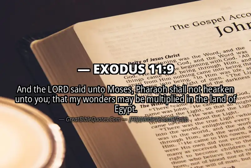 EXODUS 11:9 Verse