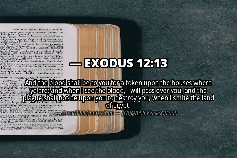 EXODUS 12:13 Verse