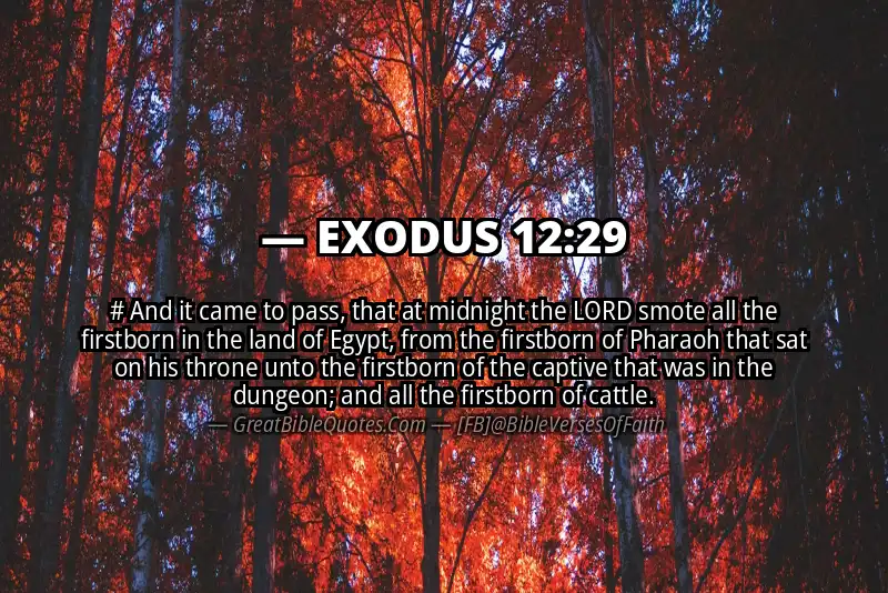 EXODUS 12:29 Verse