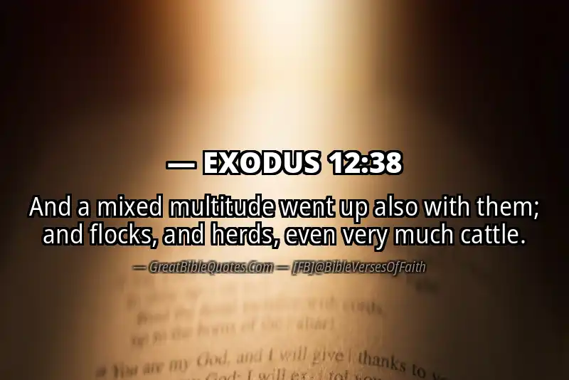 EXODUS 12:38 Verse