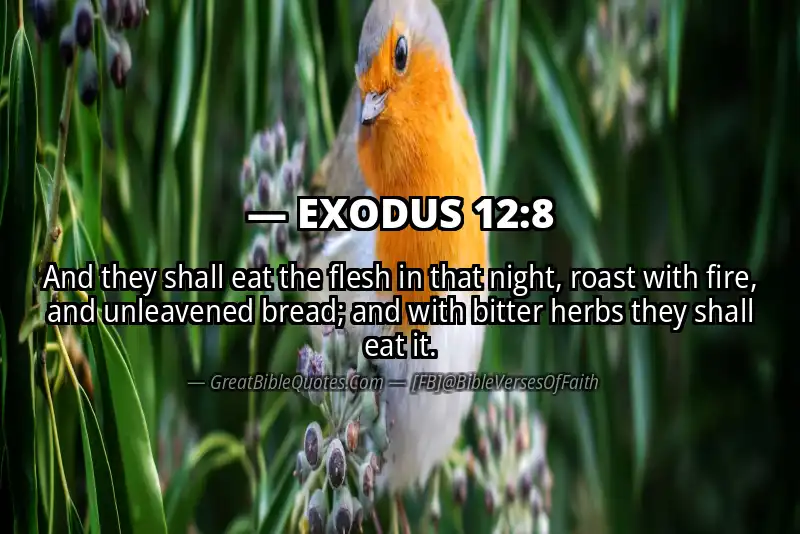 EXODUS 12:8 Verse