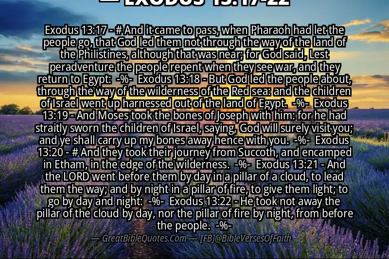 Image for EXODUS 13:17-22 Bible verse