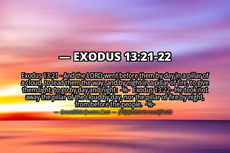 Image for EXODUS 13:21-22 Bible verse
